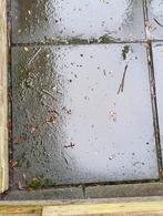 Tuin tegels gezocht, 50 x 50cm x 4cm, Tuin en Terras, Ophalen, Gebruikt, Beton, Terrastegels