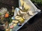 Heel veel servies van o a.melita -royal sphinx en petrus re, Antiek en Kunst, Antiek | Servies los, Ophalen