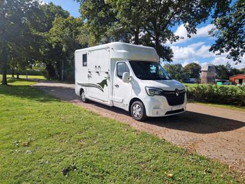 Renault Master Demo Anemone paardenwagen voor 2 paarden heng beschikbaar voor biedingen