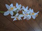 Prachtige grote orchidee , kunstbloem, Ophalen of Verzenden, Zo goed als nieuw