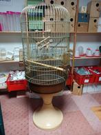 Papagaaienkooi op wielen, Dieren en Toebehoren, Vogels | Hokken en Kooien, Ophalen, Metaal, Vogelkooi