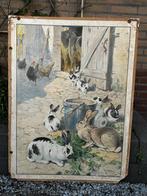 Konijnen en eenden, Ophalen of Verzenden, Natuur en Biologie