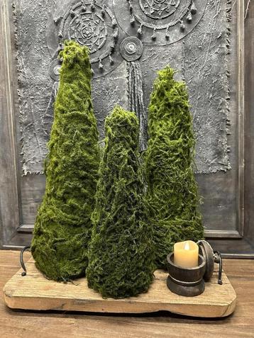 Nieuw! Mos bomen beschikbaar voor biedingen