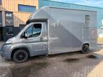 Paardenwagen Fiat Ducato, Zeer mooi en kompleet., Ophalen of Verzenden, Gebruikt, Aluminium, 2-paards trailer
