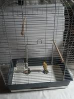 Kanarie en Parkieten vogelkooi, Ophalen, Metaal, Vogelkooi