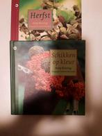 Herfst & Schikken op Kleur - Betty Kessing, Boeken, Ophalen of Verzenden, Gelezen, Betty Kessing, Bloemschikken, Groendecoratie