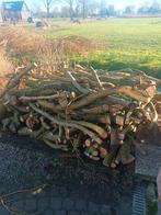 Wilg op stam, Minder dan 3 m³, Ophalen of Verzenden