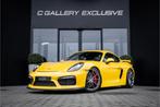 Porsche Cayman GT4 3.8 - Schaalstoelen l Full PPF (bj 2015), Auto's, Porsche, Achterwielaandrijving, Gebruikt, Overige kleuren
