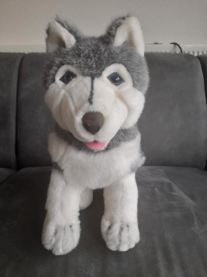 Husky wolf welp knuffel, Kinderen en Baby's, Speelgoed | Knuffels en Pluche, Zo goed als nieuw, Overige typen, Ophalen of Verzenden