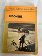 Indonesië Reisgids - Palte & Tempelman, Ophalen of Verzenden, Reisgids of -boek, Azië, Gelezen