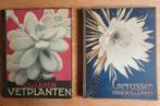 Oude albums: Cactussen & Vetplanten (1931), Gelezen, Bloemen, Planten en Bomen, A. J. van. Laren, Ophalen of Verzenden