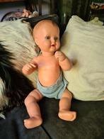 Schildpad pop vintage., Verzamelen, Poppen, Ophalen of Verzenden, Zo goed als nieuw, Pop