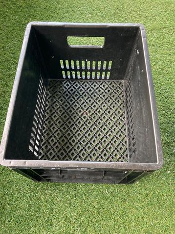 Fietskrat - Zwart (stevig exemplaar) beschikbaar voor biedingen
