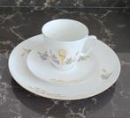 Communie Servies - Kopje, Schotel, Bord, Ophalen of Verzenden, Zo goed als nieuw