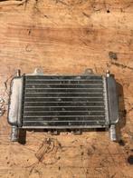 Piaggio zip/gilera runner radiateur origineel, Ophalen of Verzenden