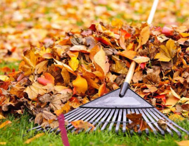 Tuin winterklaar maken?, Tuin en Terras, Overige Tuin en Terras, Zo goed als nieuw, Ophalen