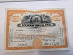 Prachtig certificaat van 18 aandelen United Drug Inc.1935, Postzegels en Munten, Aandelen en Waardepapieren, Verzenden, 1920 tot 1950