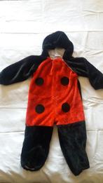 Onesie/Verkleedpak, Lieveheersbeest., Ophalen of Verzenden