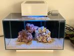 Fluval Edge 23L zeeaquarium incl koraal, Dieren en Toebehoren, Ophalen, Gevuld zeewateraquarium