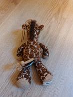 Anna club plush giraf knuffeltje Sam 20 cm, Ophalen of Verzenden