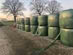 Ronde balen hooi, Dieren en Toebehoren, Dierenvoeding, Ophalen of Verzenden, Vee