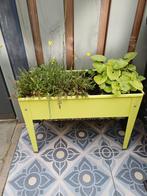 Kweekbakje., Gebruikt, Minder dan 60 cm, Rond, Ophalen of Verzenden