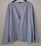 Grijze top / vest lange mouw Boohoo maat M zgan .c, Kleding | Dames, Tops, Maat 38/40 (M), Boohoo, Ophalen of Verzenden, Zo goed als nieuw