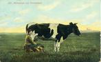 Knollendam. Het melkmeisje. 1909, Gelopen, Noord-Holland, Voor 1920, Verzenden
