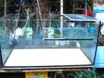 Waterschildpadden AQUARIUM 100 x 50 x 50, Ophalen, Gebruikt, Overige typen