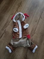 Honden costume kerst, Dieren en Toebehoren, Ophalen of Verzenden, Zo goed als nieuw