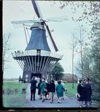 Stereofoto’s (ca 40) Keukenhof Lisse 1950 - 1960, Verzamelen, Natuur, Gebruikt, Foto, Ophalen of Verzenden