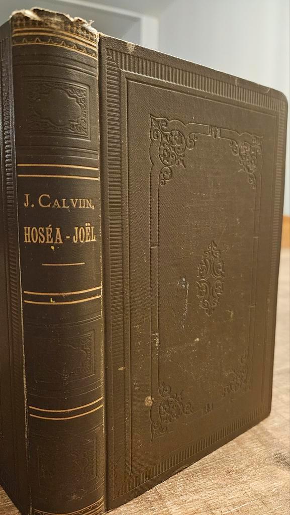 Bijbelverklaring Calvijn, Hosea-Joël. Kleine profeten deel 1, Boeken, Godsdienst en Theologie, Gelezen, Christendom | Protestants