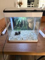 Aquarium SuperFish Panorama 35 LED, Ophalen, Zo goed als nieuw, Leeg aquarium