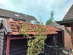 oranje dakpannen en nokpannen, Doe-het-zelf en Verbouw, Dakpannen en Dakbedekking, Ophalen, Gebruikt