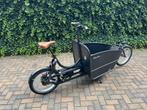 Elektrische bakfiets, Johnny Loco Twin Cruiser, Fietsen en Brommers, Ophalen, Elektrisch, Zo goed als nieuw, 2 kinderen