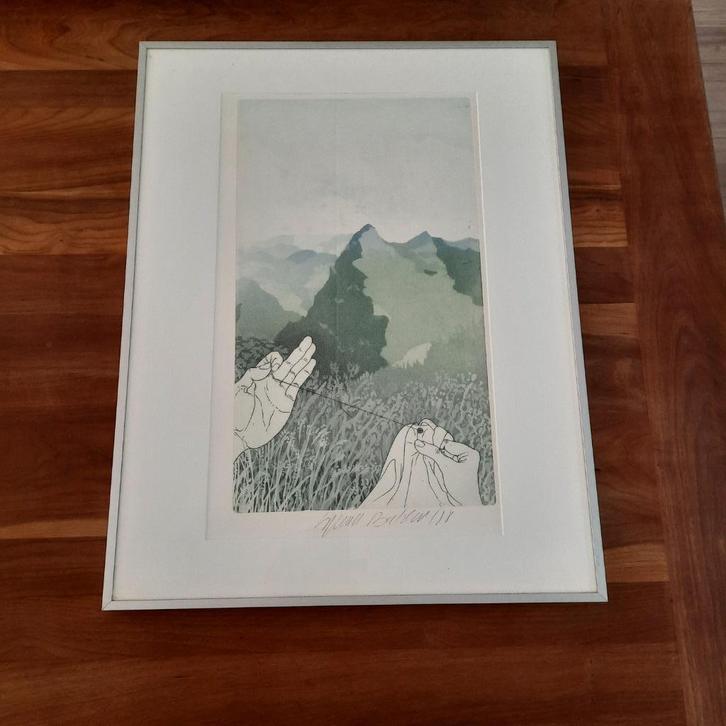 Kleurenets landschap met naald en draad van Sjoerd Bakker, Antiek en Kunst, Kunst | Etsen en Gravures, Ophalen