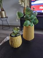 2 oker gele vaasjes incl plantjes, de vaasjes zijn 11cm en 2, Ophalen, Geel, Aardewerk of Porselein, Zo goed als nieuw