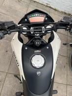 Ducati Hypermotard 796, Motoren, Motoren | Ducati, 2 cilinders, Particulier, 800 cc, Minimaal motorrijbewijs A2