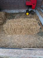 Paardenhooi, Dieren en Toebehoren, Stalling en Weidegang