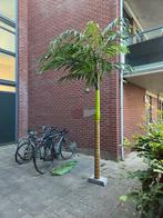 2 Kunst Palmbomen, Ophalen, Volle zon, Palmboom