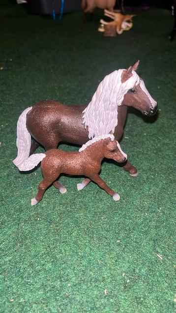 Paard met veulen! beschikbaar voor biedingen