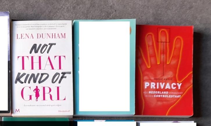 Kagie Rudie : Privacy hoe Nederland verandert in een contro, Boeken, Politiek en Maatschappij, Nederland, Ophalen of Verzenden