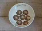 1x Schaaltje Jet (by Ter Steege), OLIEBOLLEN, z.g.a.n., Ophalen of Verzenden, Overige stijlen, Aardewerk, Schaal of Schalen