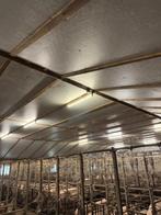 PIR isolatie 4cm [599], Boekhorst Trading, Info@boekhorsttrading.com, Singel 16, Horssen