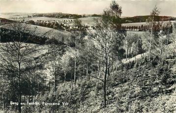 (388-445-037) Berg en Terblijt Panorama Vilt beschikbaar voor biedingen