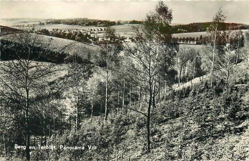 (388-445-037) Berg en Terblijt Panorama Vilt, Verzamelen, Ansichtkaarten | Nederland, Limburg, Verzenden