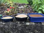 fraaie collectie bonsaipotten, Tuin en Terras, Bloempotten, Rond, Ophalen of Verzenden, Zo goed als nieuw, Aardewerk
