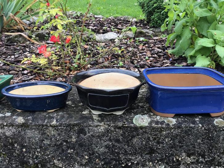 fraaie collectie bonsaipotten, Tuin en Terras, Bloempotten, Zo goed als nieuw, Aardewerk, Minder dan 40 cm, Minder dan 25 cm, Rond
