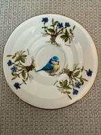 Vintage Royal Delfesta porseleinen bloemen bordje pimpelmees, Ophalen of Verzenden