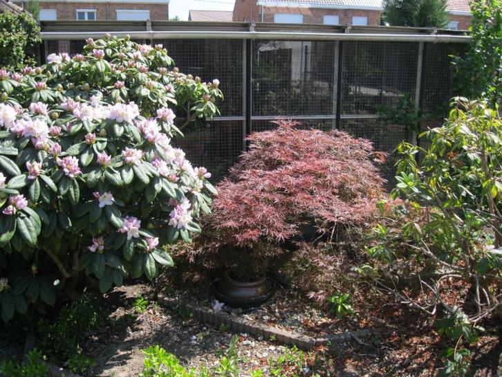 ALU Kooi vogelkooi 6 slieten (4,3m op 4,75m), Dieren en Toebehoren, Vogels | Hokken en Kooien, Zo goed als nieuw, Vogelkooi, Aluminium